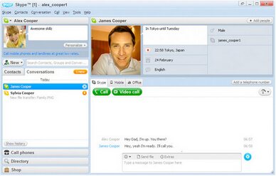 The Skype client