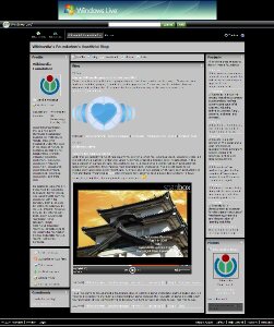 An MSN Spaces page, with the gadgets, guestbook and photo gallery attached to every Messenger account.